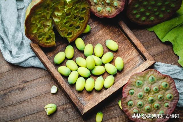 夏末初秋唯美句子，夏末初秋的环境描写（人间好时节）