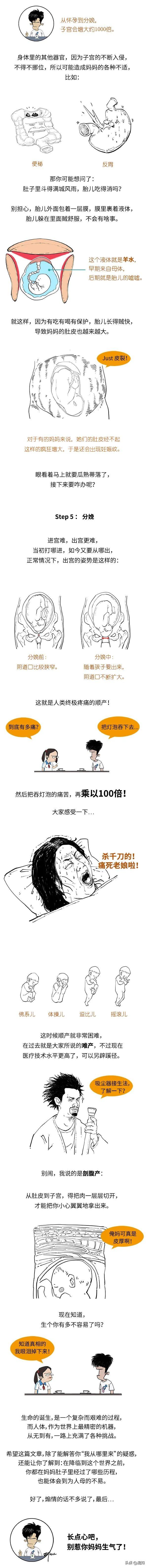 孩子是怎么来的，比比东的孩子是怎么来的（被孩子问“我从哪儿来的）