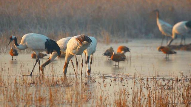 世界文化遗产名录介绍，世界文化遗产名录介绍资料（中国56项世界遗产）