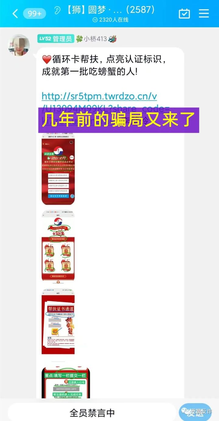 网络推广项目(网络营销推广)