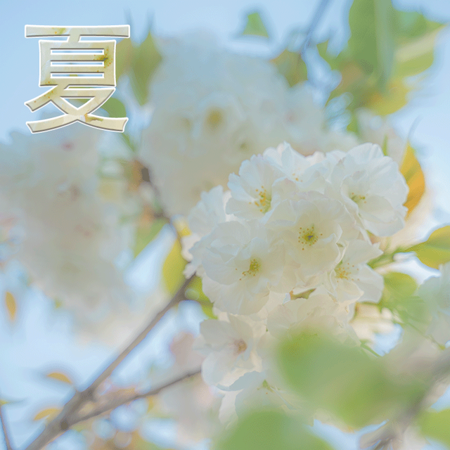 思考人生人生是你，微信头像，思考人生人生是你（成功的路上有门必修课叫孤独、积极思考造就积极人生）