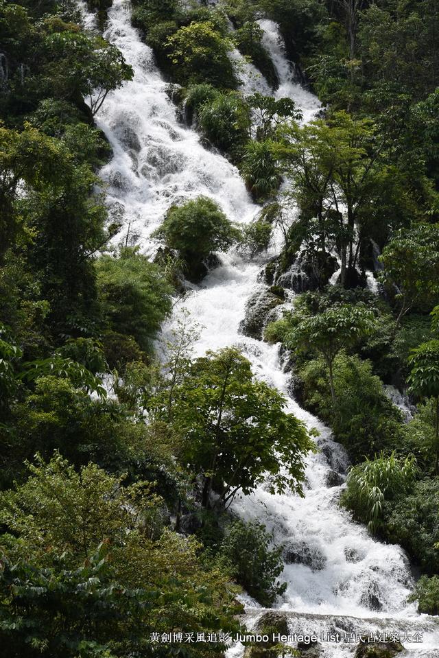 黔南布依族苗族州，娃娃鱼图片大全大图