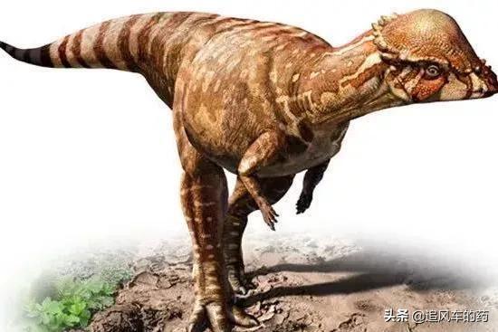 世界上最厉害的恐龙是什么恐龙，能杀死霸王龙的十种恐龙（世界五大恐龙之最）