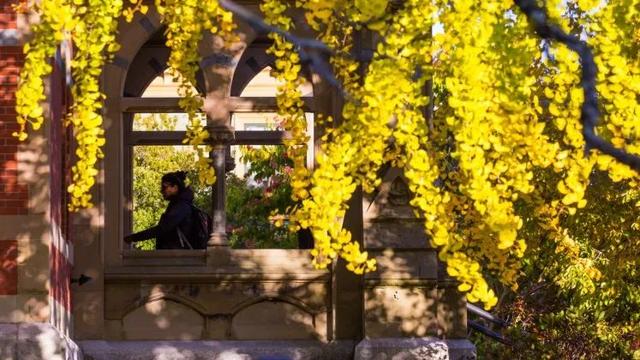 大学都有哪些课程，大学有哪些课程是必修的（没想到名校的培养方式）