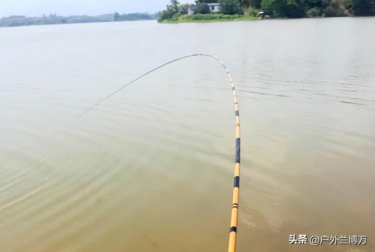 并继竿的优缺点，请教 并继竿的优点（对并继竿要求过高）