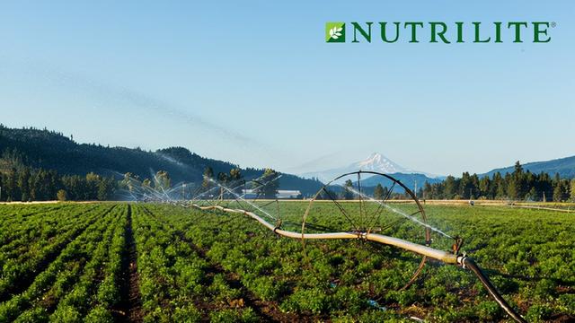 安利净水器好不好，安利净水器的缺点（安利这几年都去哪儿了）