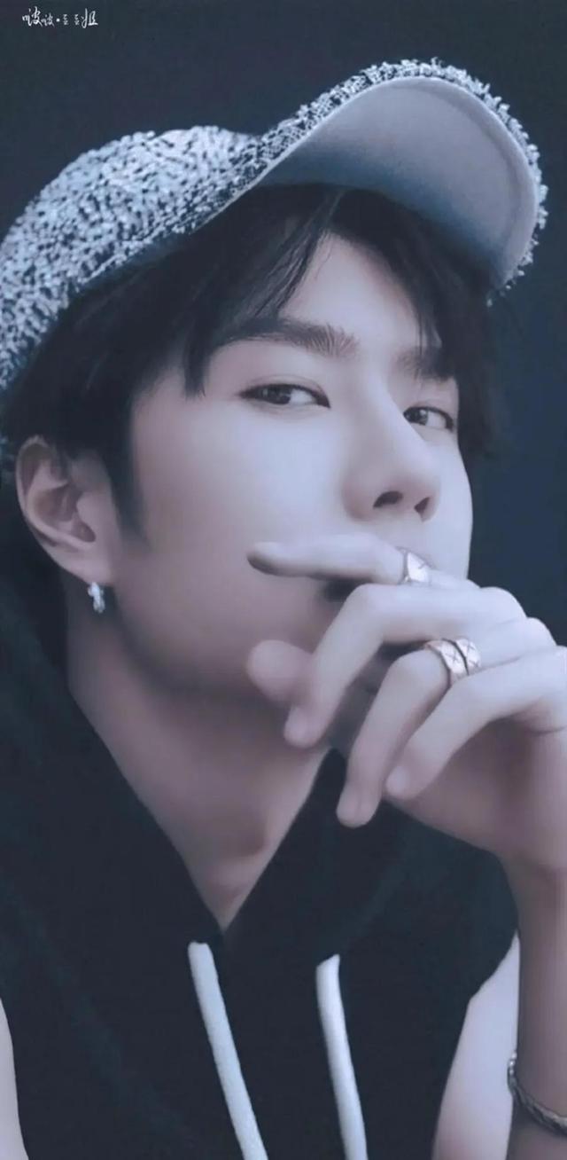 洛阳白牡丹——王一博，为什么叫王一博洛阳白牡丹（洛阳白牡丹—王一博图片）