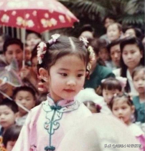 刘亦菲继父，刘亦菲继父命理分析及预测（幸运的刘亦菲：出道就演女主）