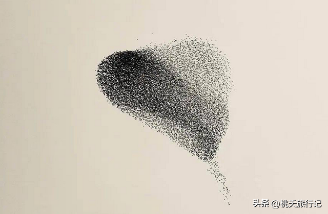 简约黑白线条画人物微信头像，黑白线描画人物头像（2022年黑白极简主义摄影获奖作品）