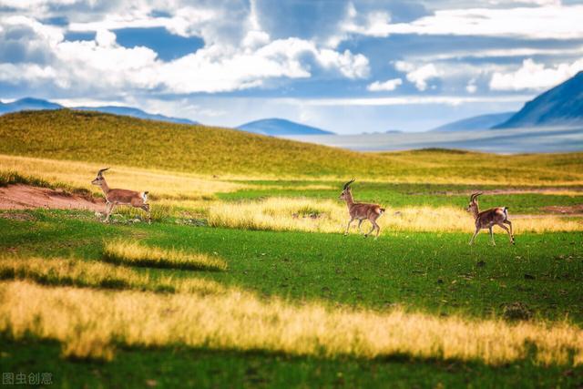 离我最近的风景区，附近景区（盘点中国最美的20个风景）