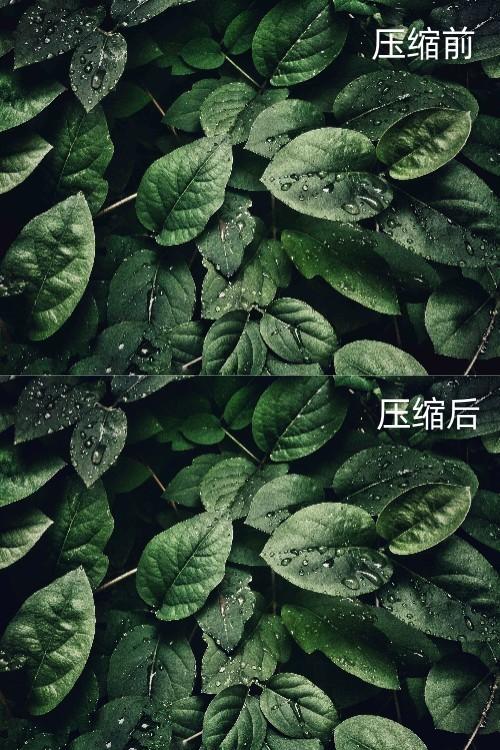 怎么把图片变小，怎么把图片变小512k（这4个压缩方法简单又高效）