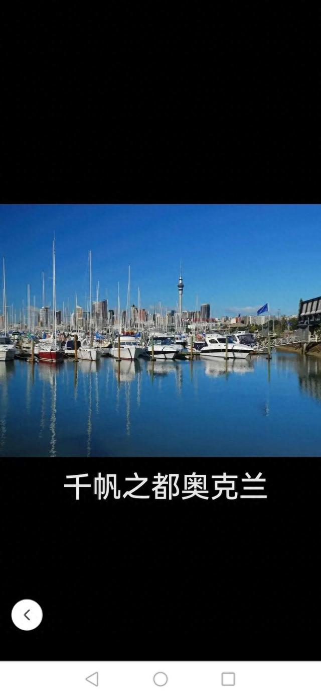 在美丽的新西兰奥克兰耕耘收获（七）