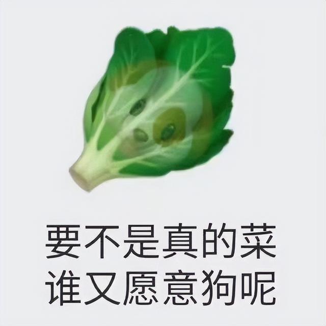 00后必懂的网络语言，00后必懂的网络语言缩写（解密00后聊天谐音梗）