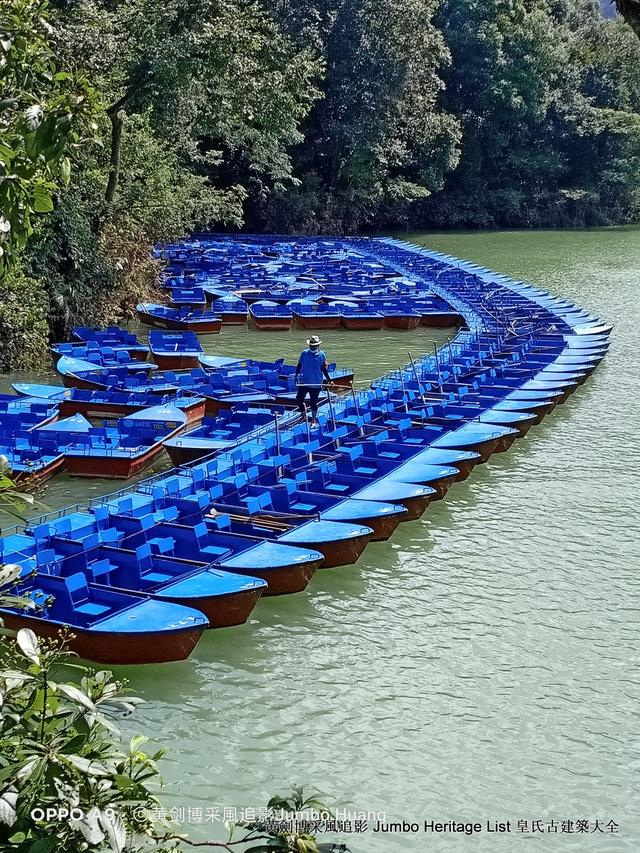 黔南布依族苗族州，娃娃鱼图片大全大图