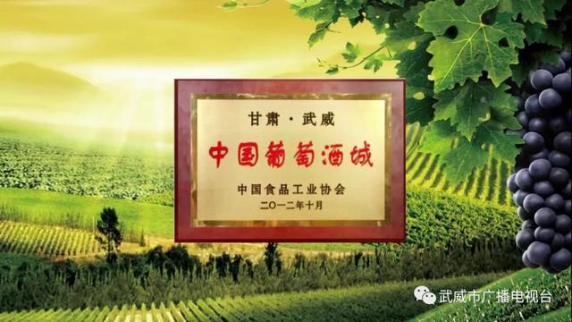 甘肃武威市简介，甘肃武威历史简介（甘肃武威，最吸引你的是什么）