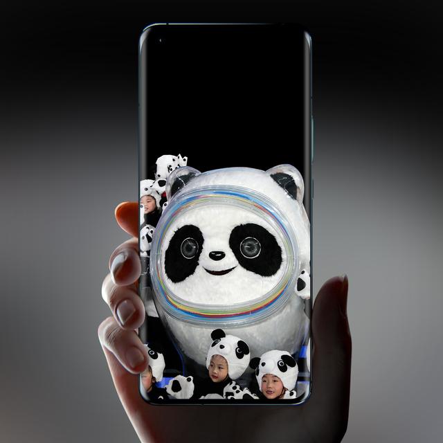 冰墩墩都有什么样的，冰墩墩高清壁纸（关于冰墩墩的介绍）