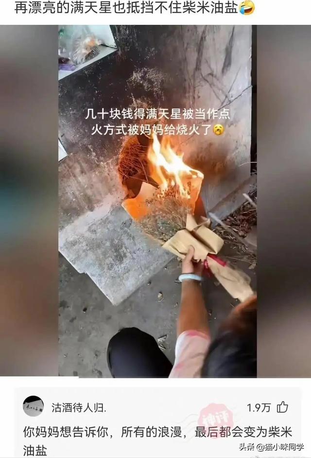 壁虎能长多大，为什么家里有壁虎一定要打死（“以为买了个壁虎）