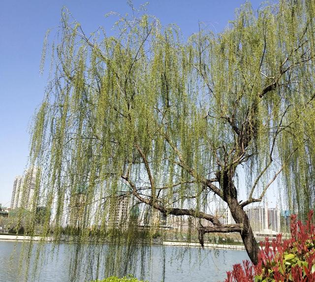 恋爱过程中会出现的7个阶段，恋爱的五个阶段你都经历了吗