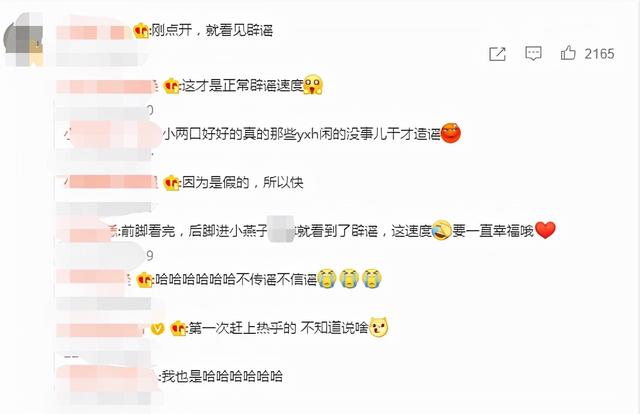 新还珠格格尔康，新还珠格格尔康扮演者（12个字利落“打假”）