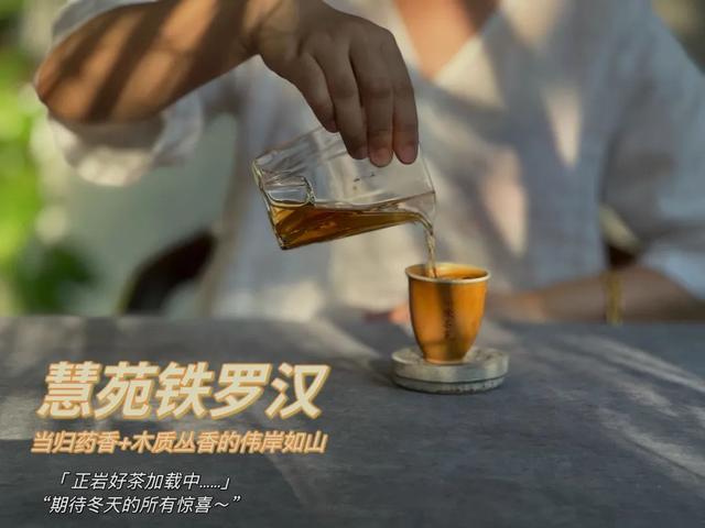 铁罗汉是什么茶，铁罗汉茶属于什么茶（不识慧苑老丛铁罗汉）