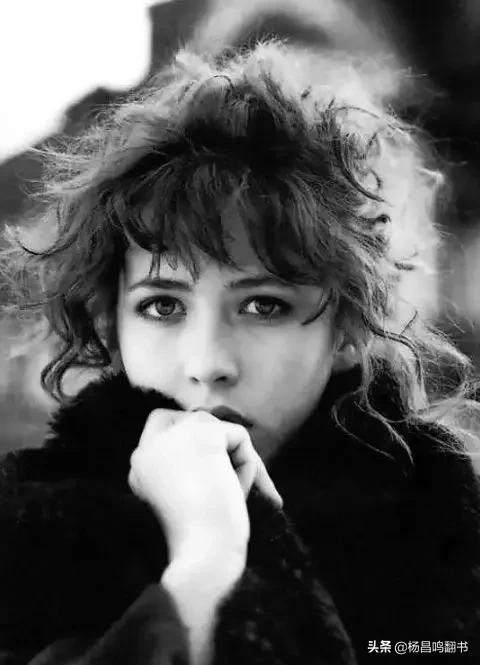 苏菲是什么，法国女人叫苏菲（苏菲是什么电视剧的女主角）