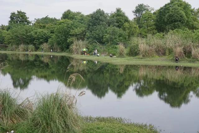 距离成都2小时小众的露营基地，成都近郊9个小众徒步露营耍水地