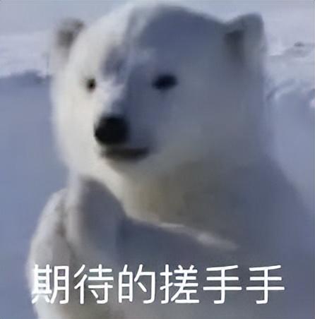 世界上有没有美人鱼，世界上有美人鱼吗（原来美人鱼是真实存在的）
