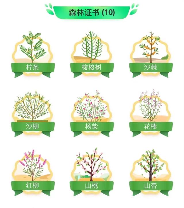 支付宝蚂蚁森林，支付宝有多少蚂蚁森林种树（支付宝“蚂蚁森林”被曝大面积污染环境）