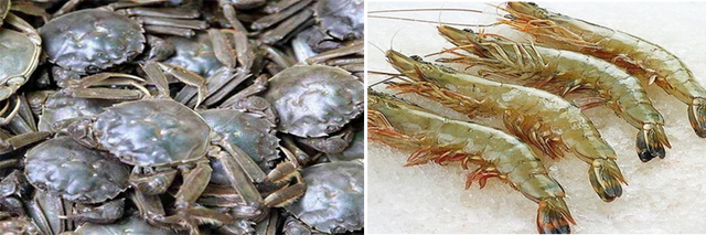 无机盐的作用是什么，高中无机盐的作用是什么（水产养殖中的小元素，有大作用）