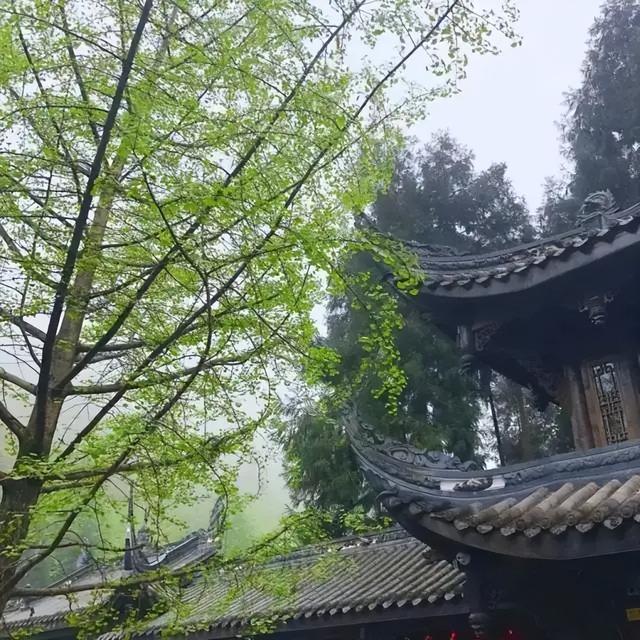 附近景区哪里好玩，宁波附近哪里好玩（大都1天打来回）
