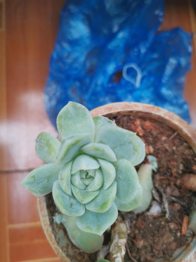 有哪些好听的网名，好看又好听的网名400个（都是些什么名字呢）