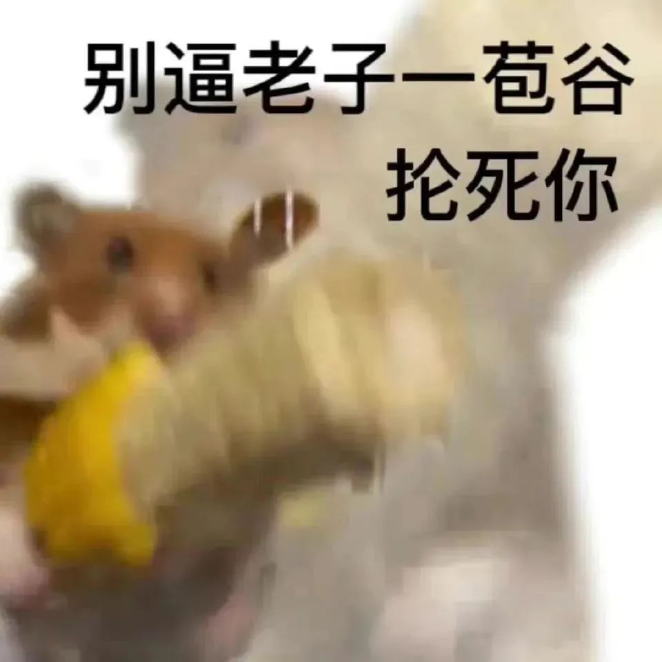 最近很火的表情包(网上超火的表情包)
