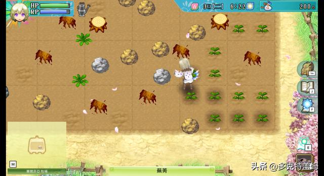 符文工房3什么宠物最好，符文工房3值得养的动物（从今天起劈柴打怪）