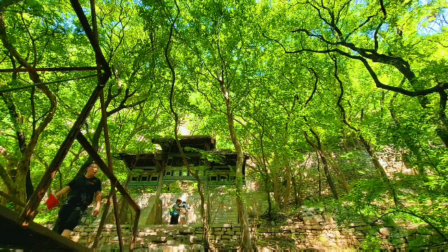 厦门龙洞风景区，厦门龙洞风景区门票多少（厦门龙洞：罕见的峡谷地貌）