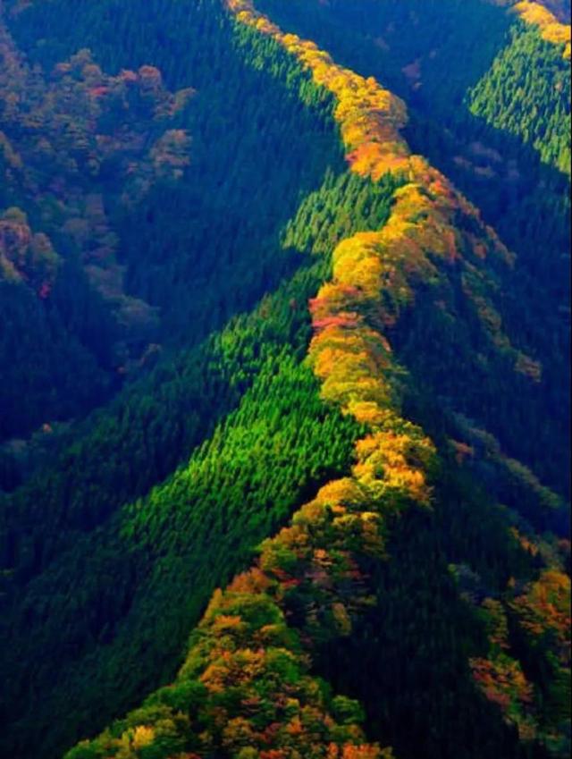 秋天是一个什么样的季节，秋天是一个什么样的季节写一段话（分享绝美秋色：叠翠流金）