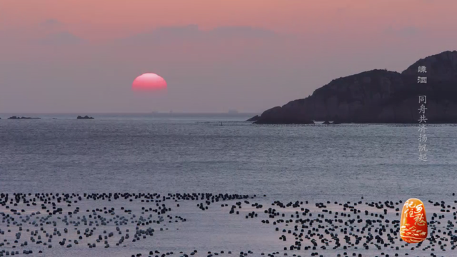 浙江舟山嵊泗海岛，围观海洋牧场