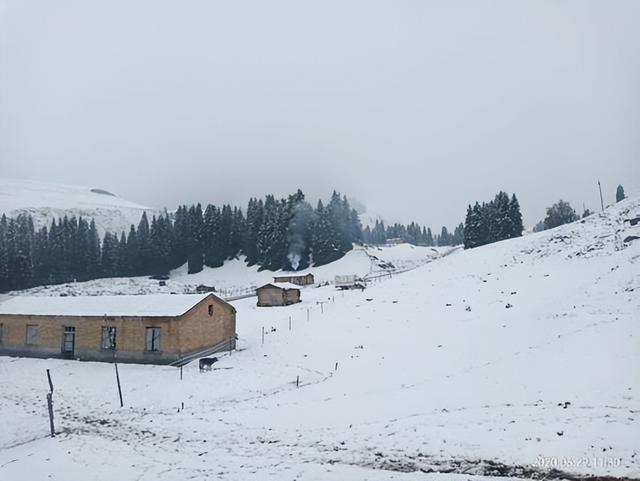 肉孜节和古尔邦节，肉孜节和古尔邦节的来历（新疆维吾尔族主要的传统节日）