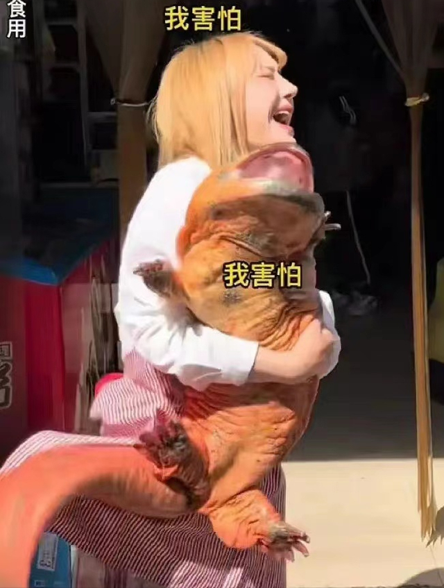 肥肥鲨，微信头像，肥肥鲨（被指吃相难看像恐怖片）