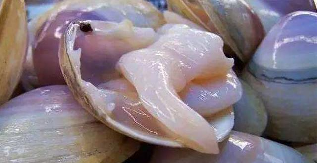 温州的海鲜，温州的海鲜都有啥（温州海鲜特产海蛤三千多年前就是贡品）