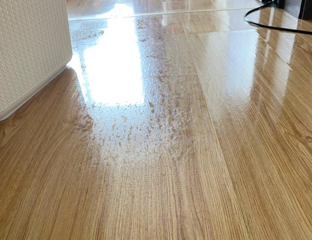 拖什么东西最轻松，脑筋急转弯拖什么东西最轻松（集中测评10种抹布）