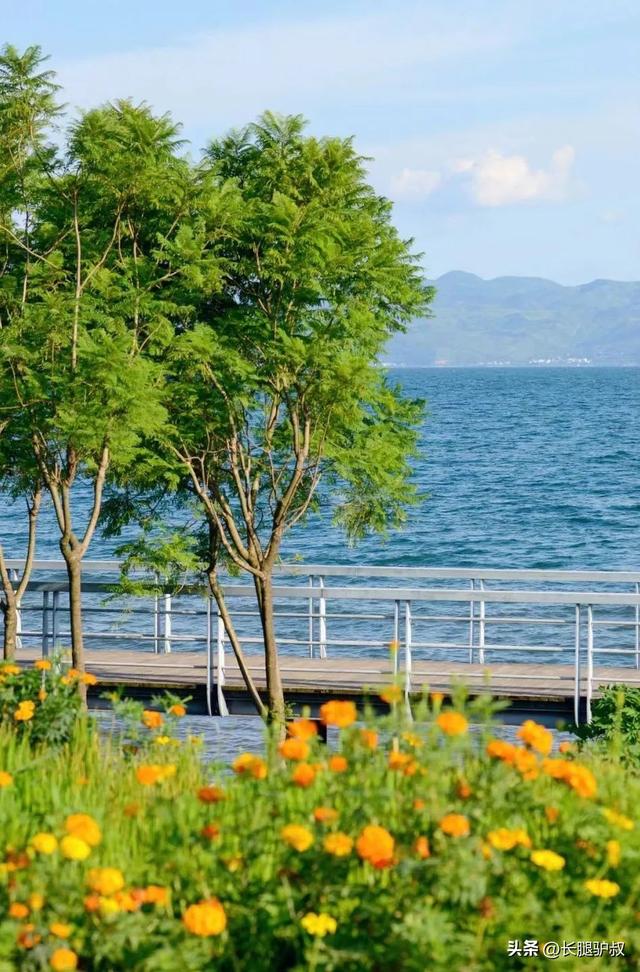 抚仙湖要门票吗，抚仙湖攻略一日游（挖到李健超爱的神仙小城）