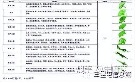 游戏广告投放思路和技巧，游戏广告方案（一文带你玩转微信小游戏投放）