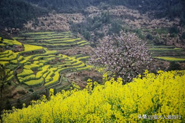 自驾浙赣之边，探访根宫佛国：每一眼都震撼，120元门票值这个价