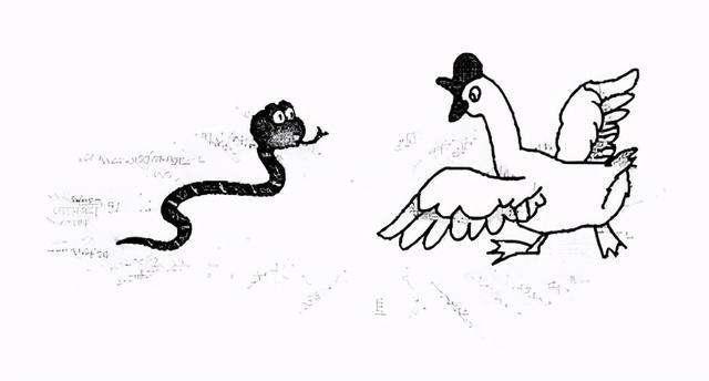 大雁和鹅的区别，大雁和鹅的区别是什么（鹅的真实面貌超出大家的想象）