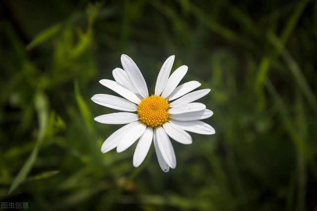 读书笔记好词好句大全，读书笔记好词好句大全带书名（读书笔记短句）