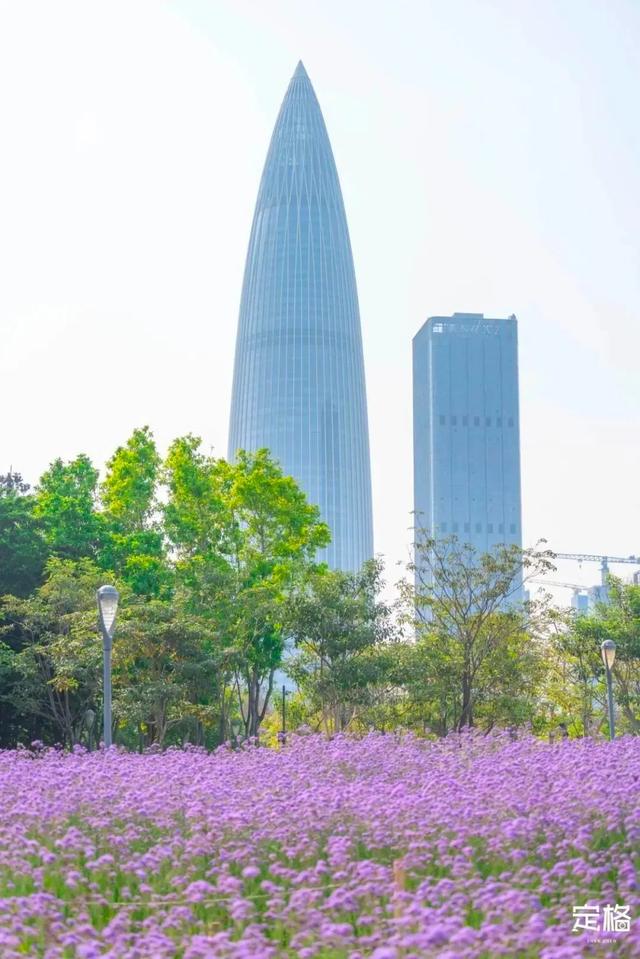 深圳旅游景点大全介绍，深圳的旅游景点有哪些地方（来深圳这10个地方玩吧）