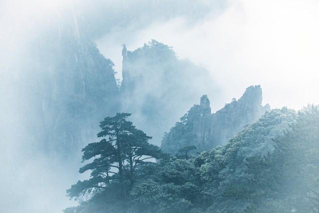 春天去哪里旅游，春天到什么地方旅游最好（推荐世界上最适合春季旅行的十个地方）