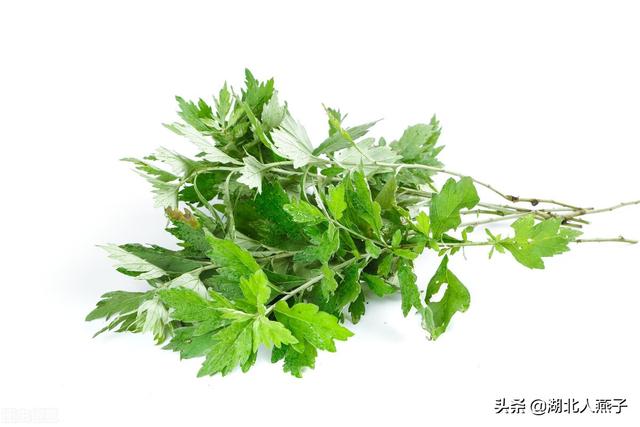 野菜的种类有哪些，野菜都有什么种类（教你认识不同的野菜和吃法）