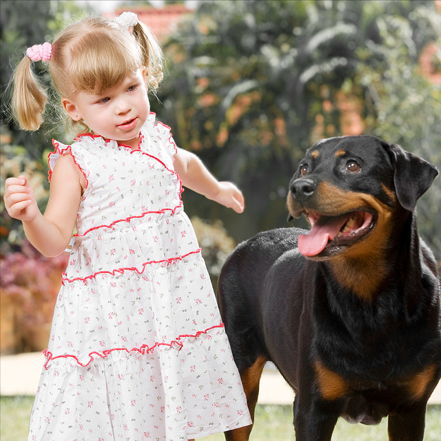 适合小孩养的狗，最好养又很温顺可以带孩子的狗狗（可以养这4种狗狗）