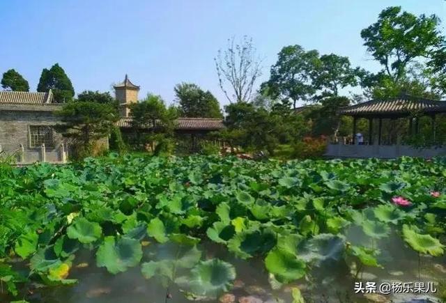 阜阳有什么好玩的地方景点，安徽阜阳太和有什么好玩的（安徽-阜阳十景）